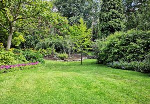 Optimiser l'expérience du jardin à Saint-Georges-Nigremont